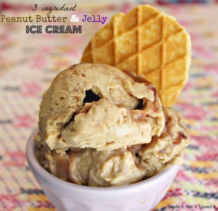 3 ingredient Peanut Butter & Jelly Ice Cream
