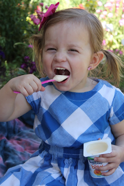 The best yogurt for your baby