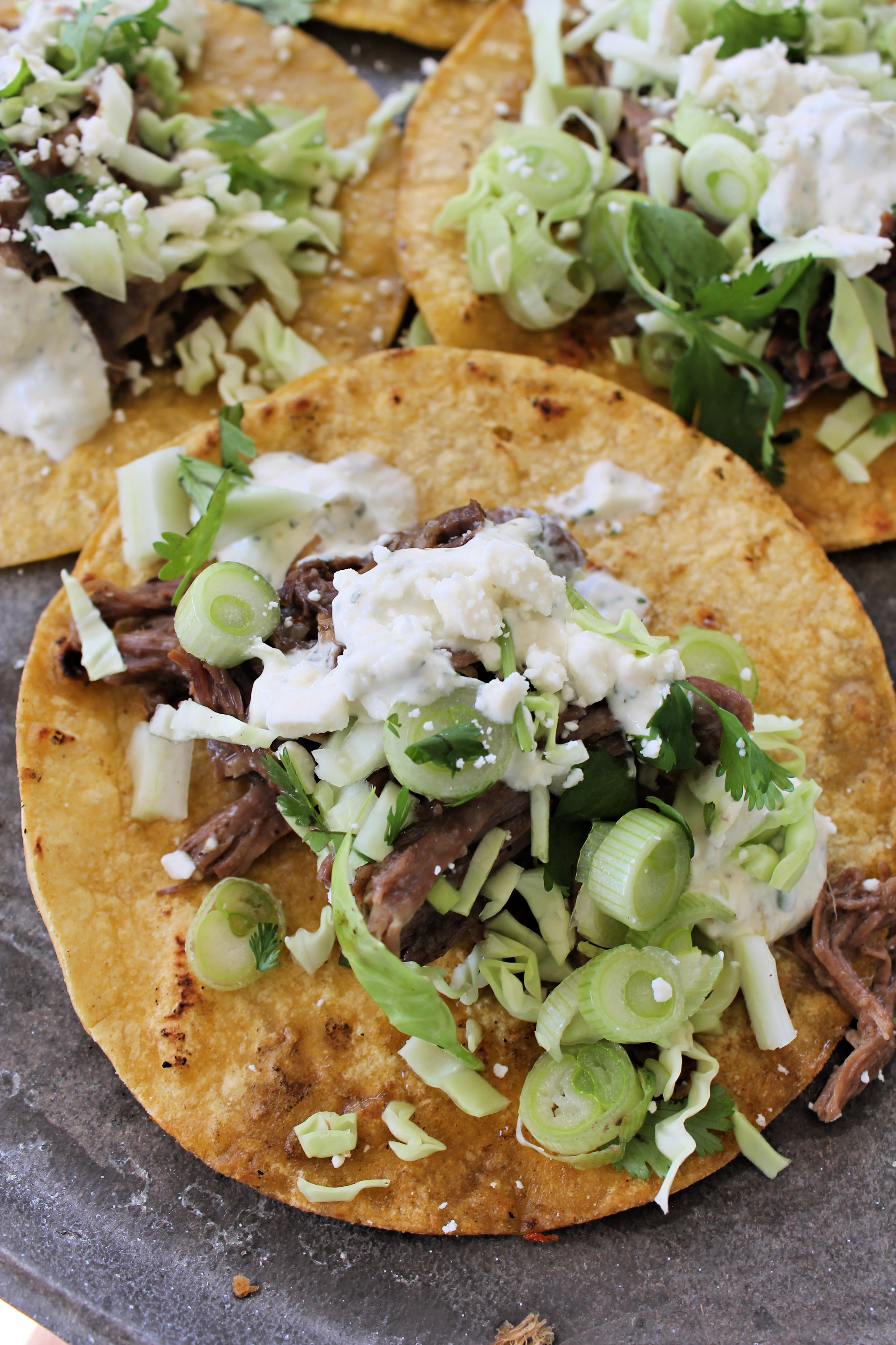 Crockpot Curto de Rib Tacos